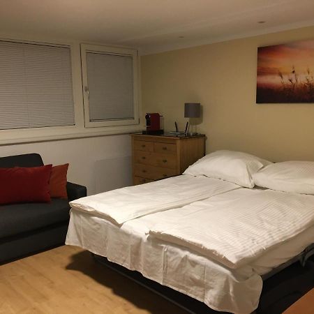 Apartamento Cosy Flat In The Quiet Area With Own Garden, Free Parking And Direct Public Transport Link To The Centre Viena Exterior foto